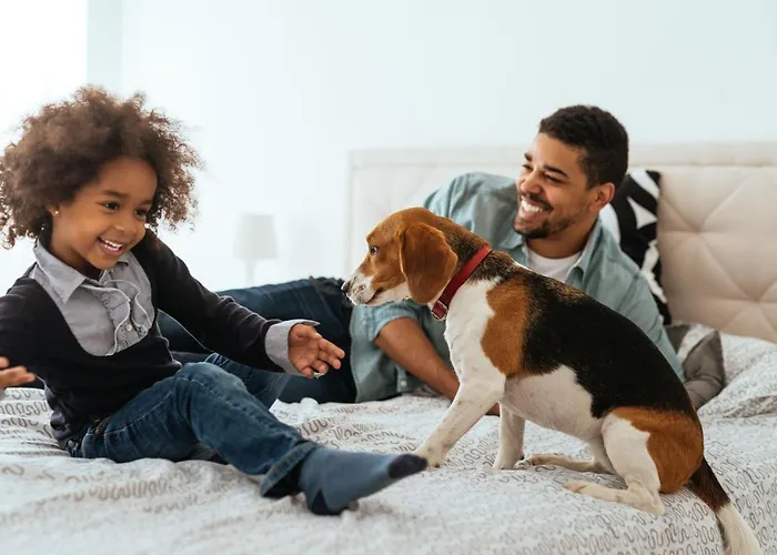 Citadines Montmartre 3*